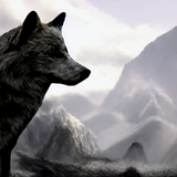 NibelWolf's Avatar'